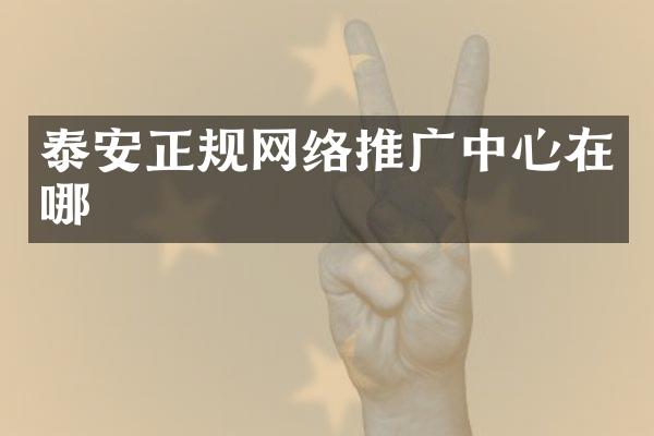 泰安正规网络推广中心在哪