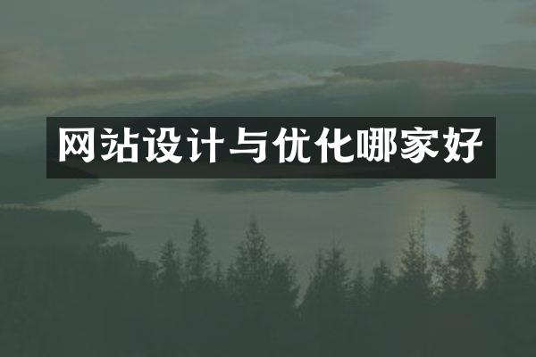 网站设计与优化哪家好