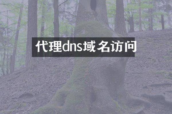 代理dns域名访问