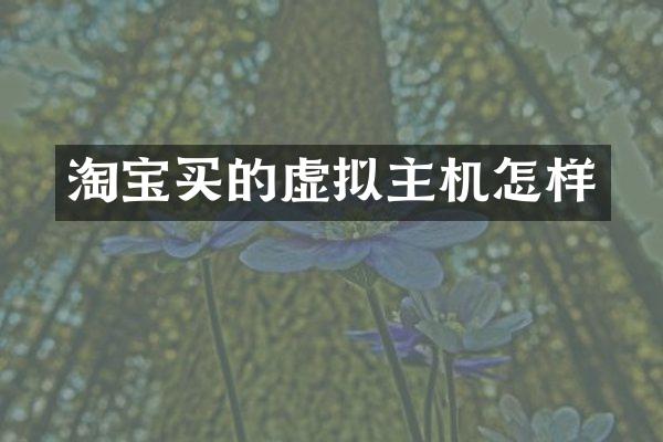 淘宝买的虚拟主机怎样
