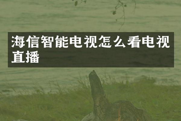 海信智能电视怎么看电视直播