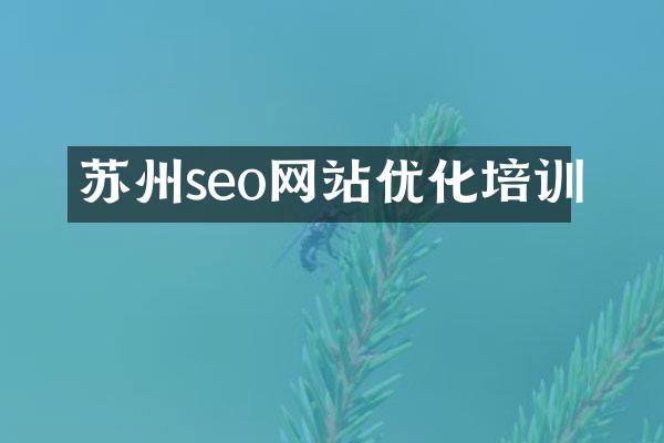 苏州seo网站优化培训