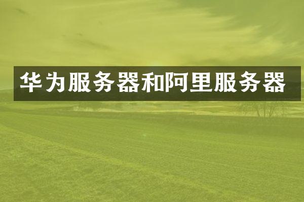 华为服务器和阿里服务器