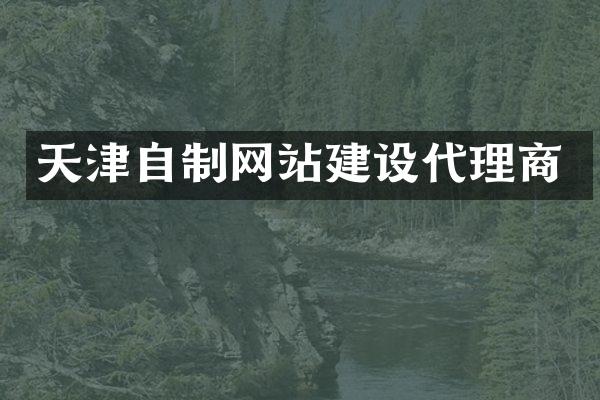 天津自制网站建设代理商
