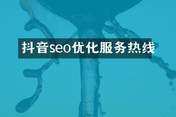 抖音seo优化服务热线