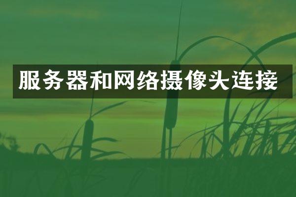 服务器和网络摄像头连接