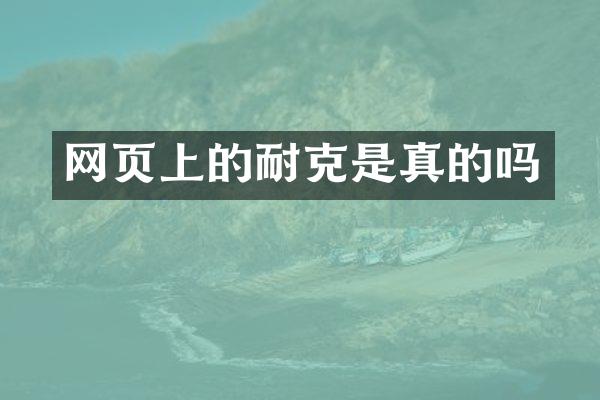 网页上的耐克是真的吗
