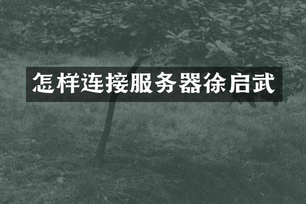 怎样连接服务器徐启武