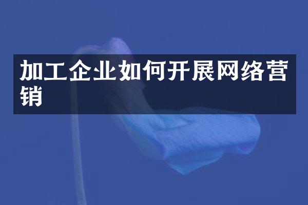 加工企业如何开展网络营销