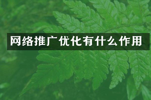 网络推广优化有什么作用