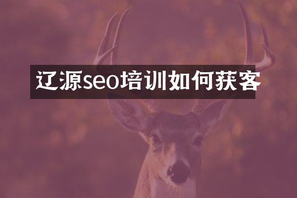 辽源seo培训如何获客