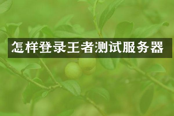 怎样登录王者测试服务器
