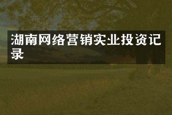 湖南网络营销实业投资记录