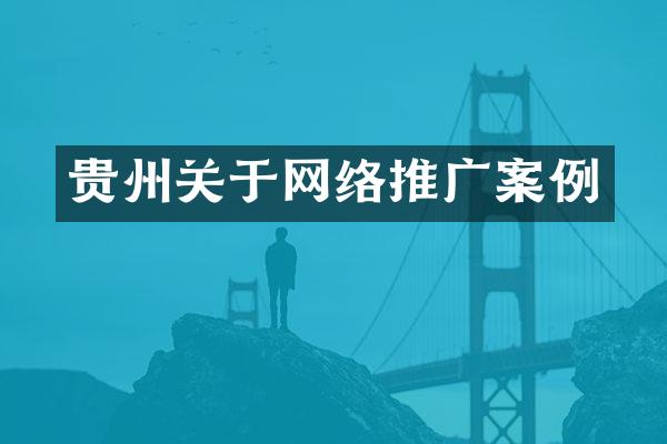 贵州关于网络推广案例