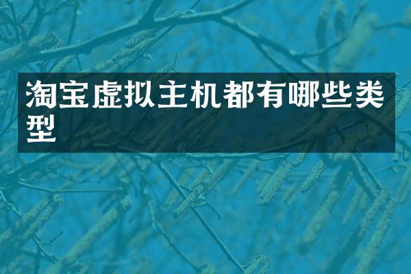淘宝虚拟主机都有哪些类型
