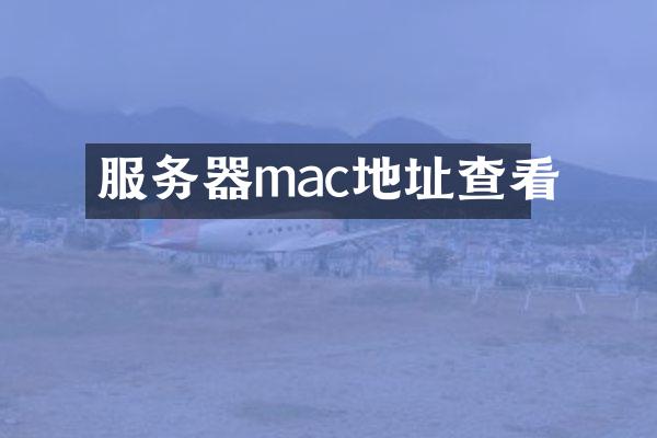 服务器mac地址查看