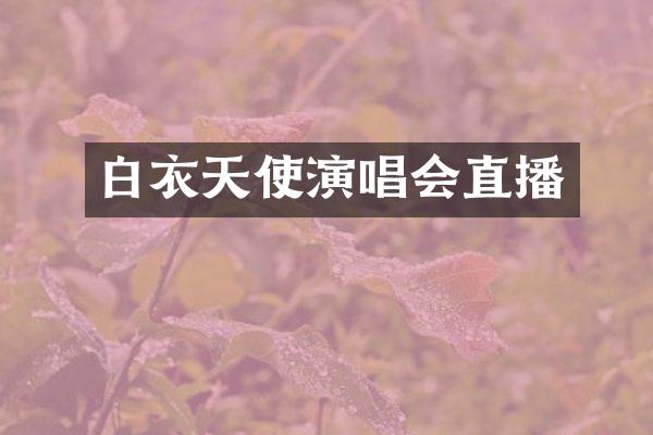 白衣天使演唱会直播