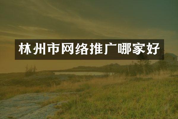 林州市网络推广哪家好