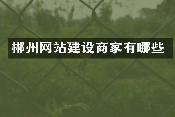 郴州网站建设商家有哪些