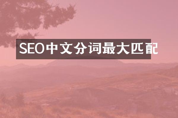 SEO中文分词最大匹配