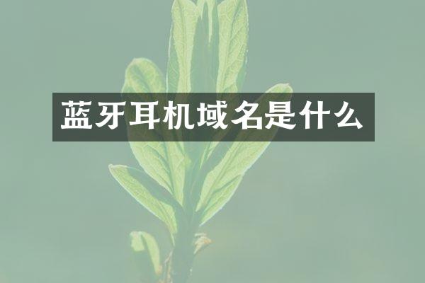 蓝牙耳机域名是什么