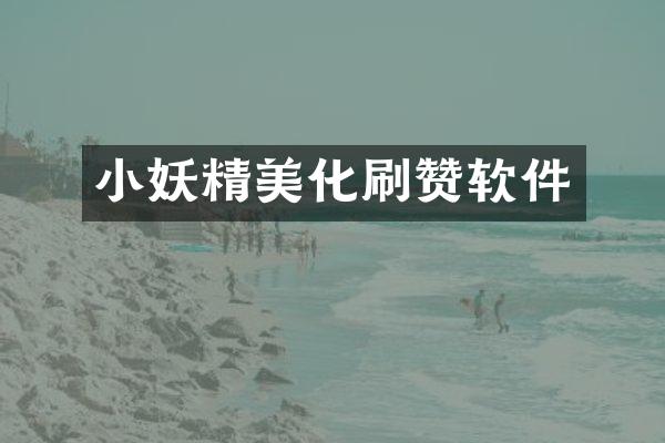 小妖精美化刷赞软件