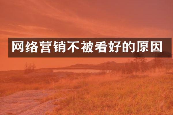网络营销不被看好的原因