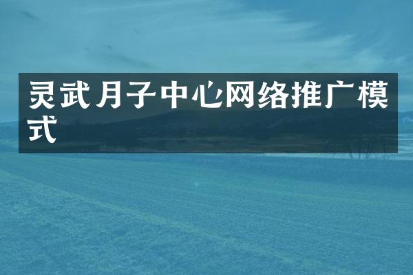 灵武月子中心网络推广模式
