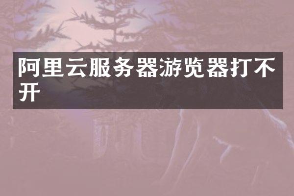 阿里云服务器游览器打不开