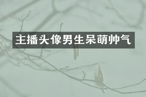 主播头像男生呆萌帅气
