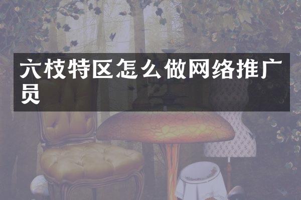 六枝特区怎么做网络推广员
