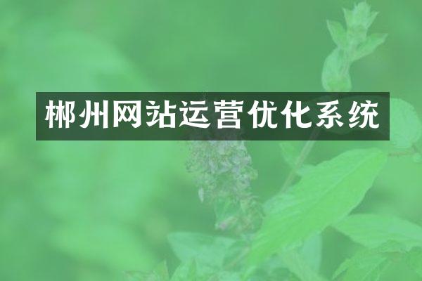 郴州网站运营优化系统