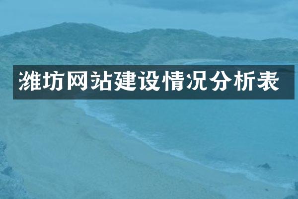 潍坊网站建设情况分析表