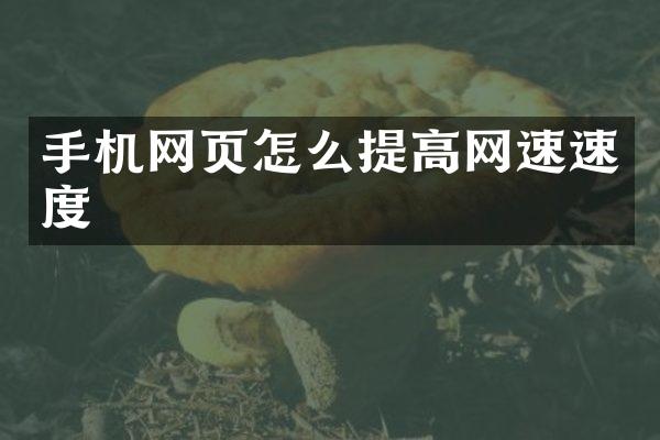 手机网页怎么提高网速速度