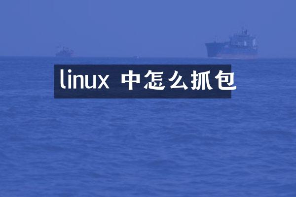 linux 中怎么抓包
