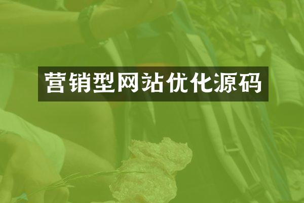 营销型网站优化源码
