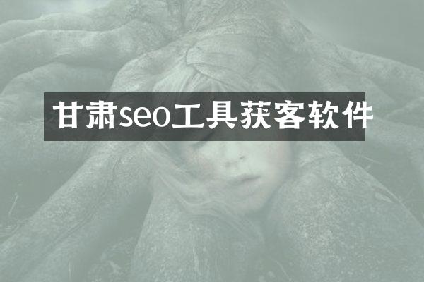 甘肃seo工具获客软件