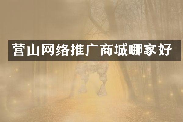 营山网络推广商城哪家好