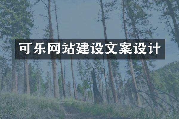 可乐网站建设文案设计