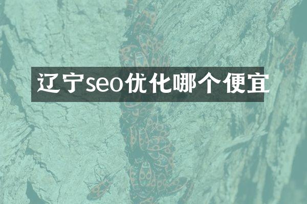 辽宁seo优化哪个便宜