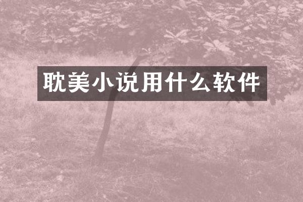 耽美小说用什么软件