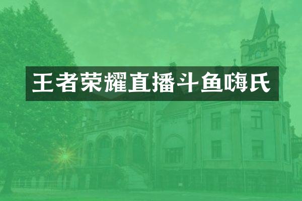 王者荣耀直播斗鱼嗨氏