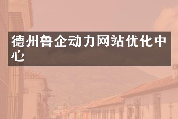 德州鲁企动力网站优化中心