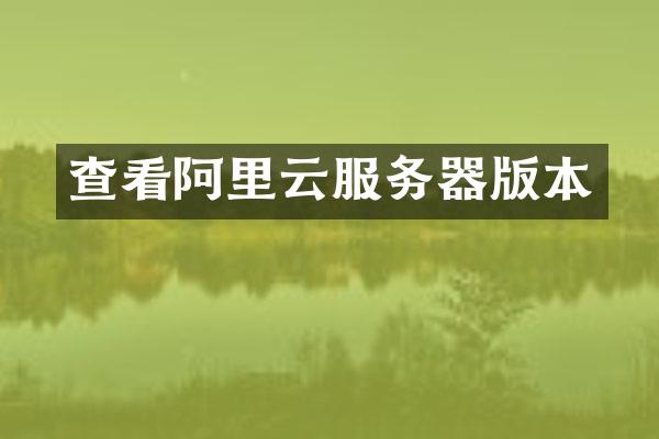 查看阿里云服务器版本