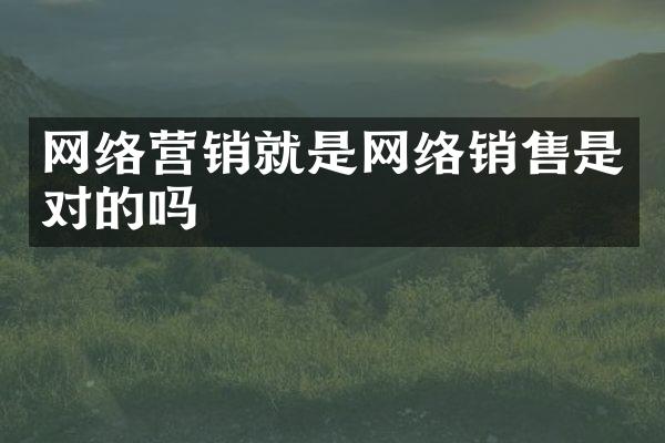 网络营销就是网络销售是对的吗