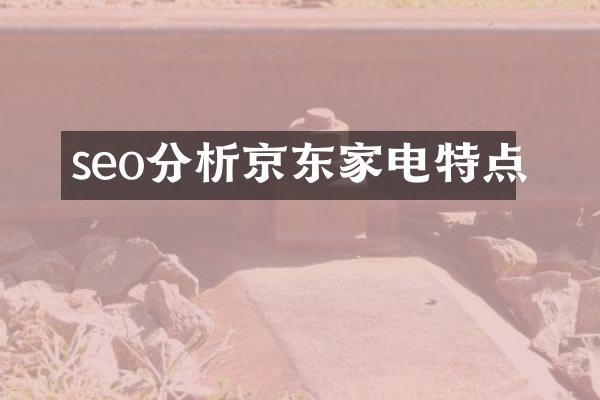 seo分析京东家电特点