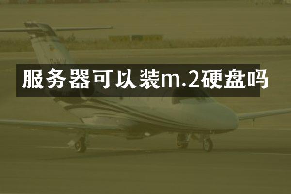 服务器可以装m.2硬盘吗