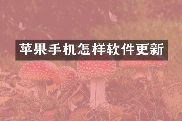 苹果手机怎样软件更新