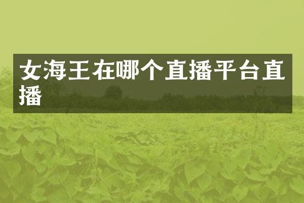 女海王在哪个直播平台直播