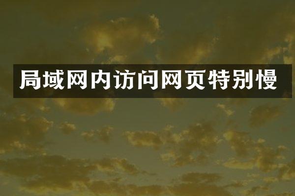 局域网内访问网页特别慢